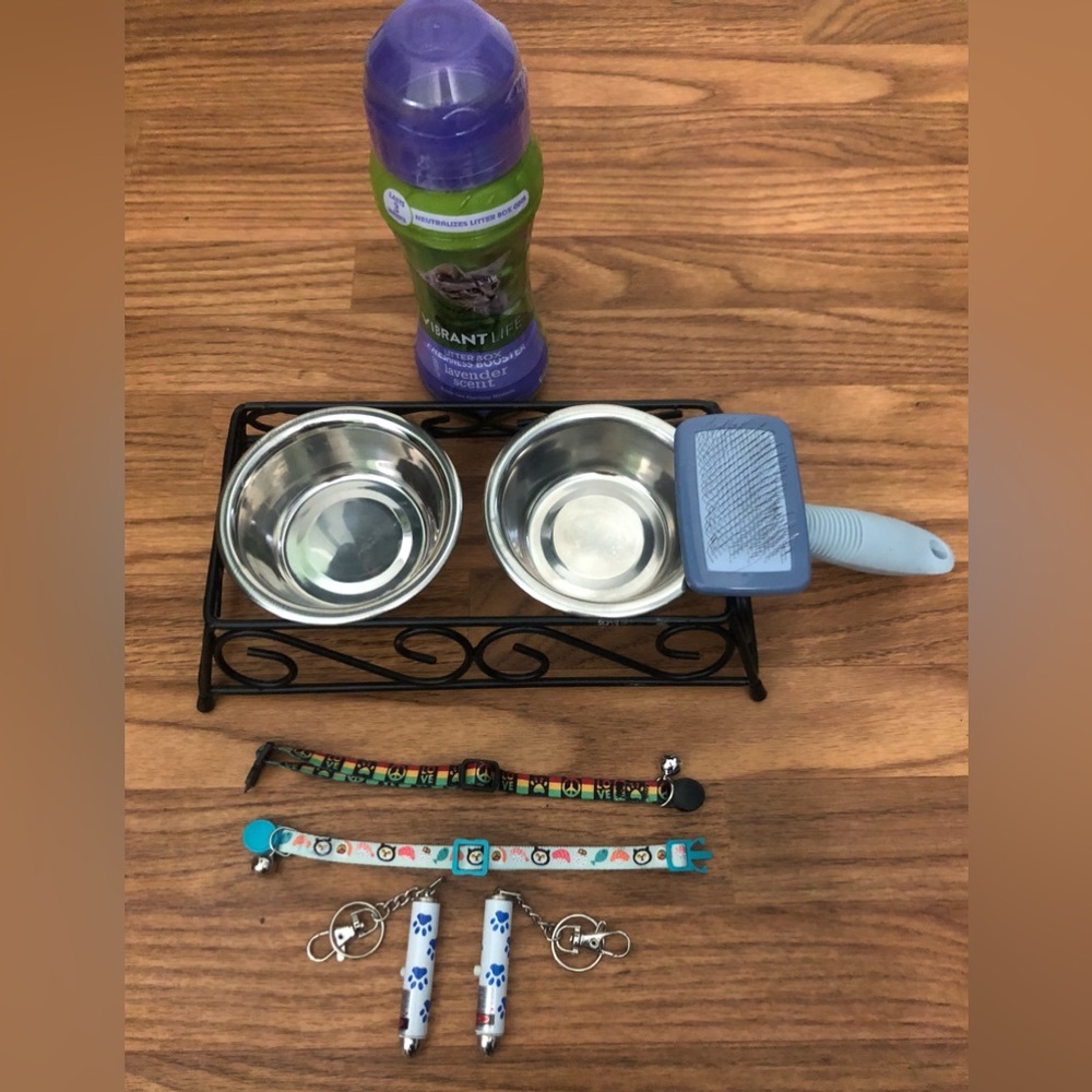 Kitten Food Bowl & Accessories